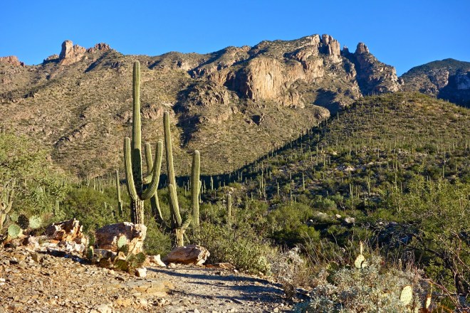 Out my front door, the front range Tucson's Catalina Mountains